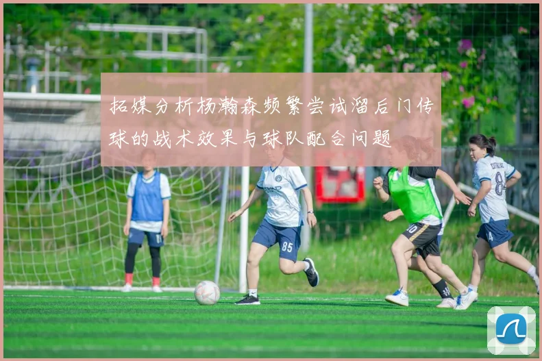 拓媒分析杨瀚森频繁尝试溜后门传球的战术效果与球队配合问题